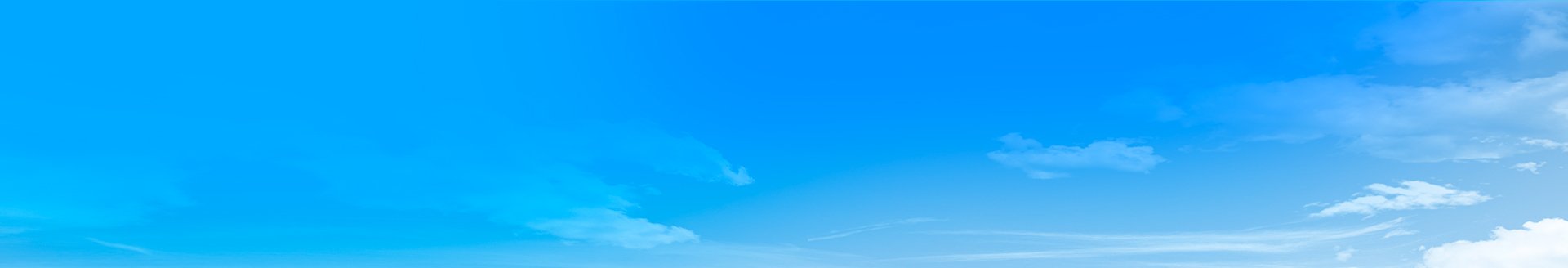 请您认真填写带 * 的必写栏目